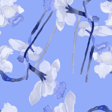 Suluboya yaz nergis çiçeği, elle boyanmış vektör görüntü.