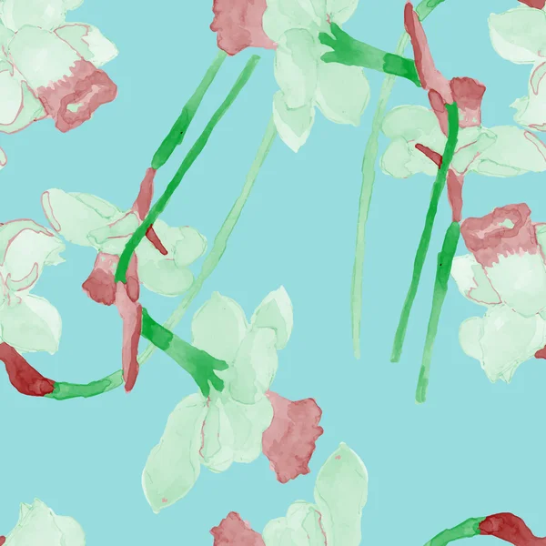 Aquarel zomer narcissus bloem — Stockvector