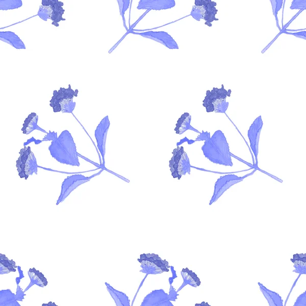 Aquarelle fleurs d'été motif sans couture, peint à la main, image vectorielle . — Image vectorielle