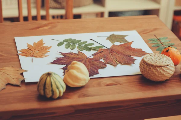 Preparaciones para la artesanía de otoño con niños —  Fotos de Stock