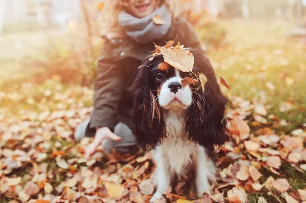 Barn tjej avkopplande med hennes cavalier king charles spaniel hund — Stockfoto