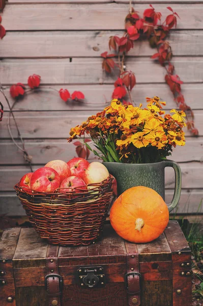 Fall at country house. Seasonal decorations with pumpkins, fresh apples and flowers. Autumn harvest at farm. — Stock Photo, Image