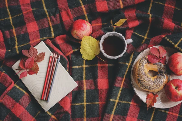 Bovenaanzicht van gezellige herfst ochtend thuis. Ontbijt met pot thee en bagel met appels op wollen plaid deken. Notitieboekje met kleur potloden — Stockfoto
