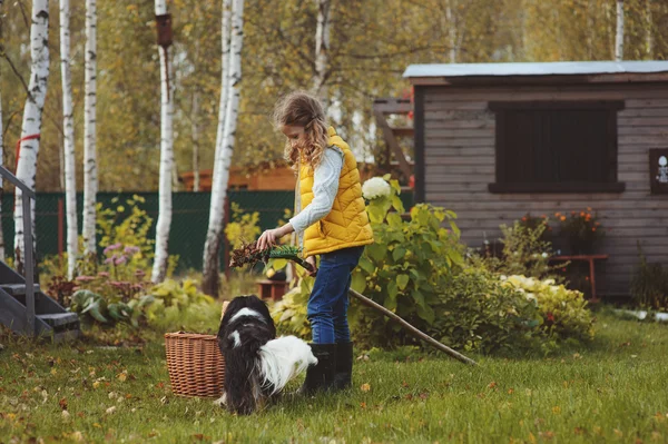 Bambina felice giocando piccolo giardiniere in autunno e raccogliendo foglie nel cestino. Lavori stagionali in giardino. Pulizia del cortile . — Foto Stock