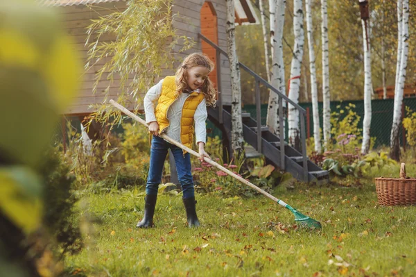 Sonbahar ve malzeme çekme küçük bahçıvan iskambil kız mutlu çocuk sepet içine bırakır. Mevsimlik Bahçe çalışma. Arka bahçesinde temizlik. — Stok fotoğraf