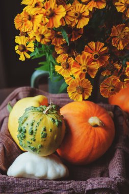 taze kabak muhtelif ve squash sepeti mevsimlik çiçekler ile ülke evinde aldı