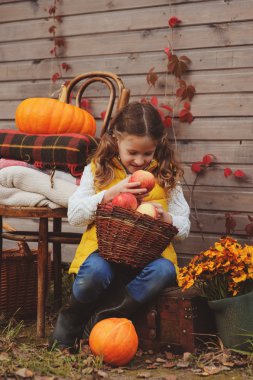 çiftlikte taze elma toplama kız mutlu çocuk. Ülke yaşam kavramı, arka plan üzerinde rahat mevsimlik dekorasyon