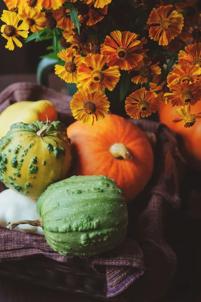 Calabazas frescas surtidos y calabaza recogidos en la cesta en la casa de campo con flores de temporada —  Fotos de Stock