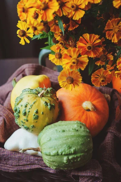 Calabazas frescas surtidos y calabaza recogidos en la cesta en la casa de campo con flores de temporada —  Fotos de Stock