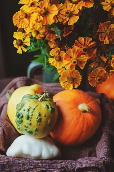 Fresh assorted pumpkins and squash picked up in basket at country house with seasonal flowers — Stock Photo, Image