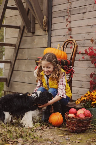 Lycklig barnflicka och hennes hund plocka färska äpplen på gården. Land Living Concept, mysiga säsongsbetonade dekorationer på bakgrunden — Stockfoto