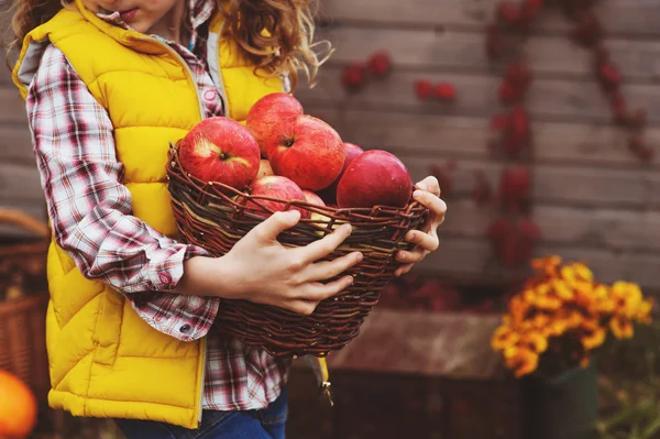 Niña feliz recogiendo manzanas frescas en la granja. Concepto de vida en el campo, decoraciones de temporada acogedoras en el fondo —  Fotos de Stock