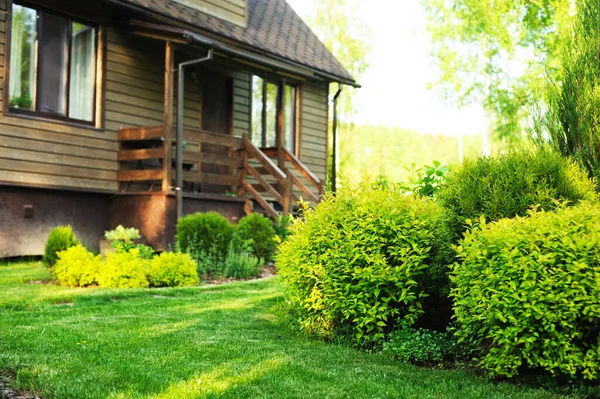 Yazın güzel spirea sınırı olan ahşap kır evi. Peyzaj tasarımı, bahçecilik ve kırsal yaşam