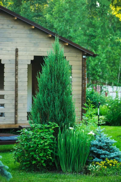 Magnifique Chalet Vue Jardin Composition Avec Genévrier Hortensia Picea Pungens — Photo