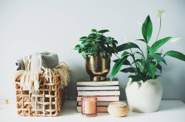 İskandinav tarzında rahat modern iç mekan detayları ev bitkileri, sıcak battaniye, mumlar ve kitaplarla