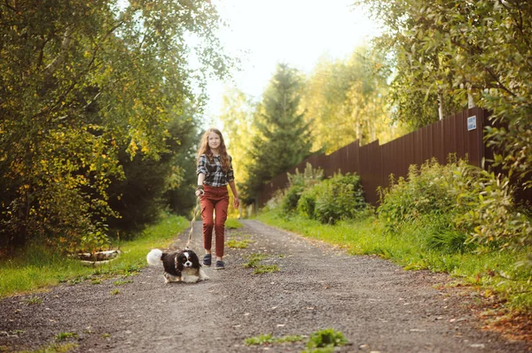 Glad Liten Flicka Promenader Med Sin Kavaljeren Kung Charles Spaniel — Stockfoto