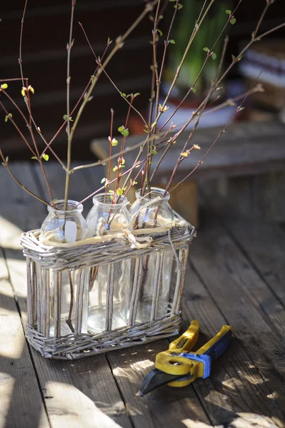 Panier avec premières branches de printemps dans le jardin sur table en bois — Photo