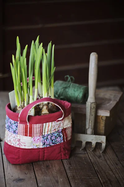 Bombillas narcisas de primavera en bolso de mosaico hecho a mano y herramienta rústica de jardín en mesa de madera —  Fotos de Stock