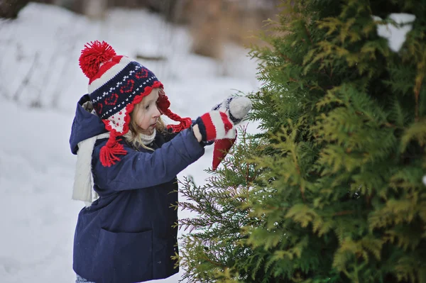 Cute child girl in christmas hat and gloves decorating tree in winter garden — Stock Photo, Image