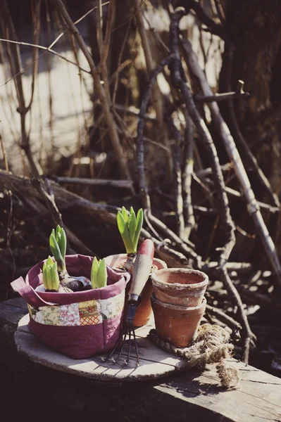 Spring flower bulbs in quilt handmade bag with ceramic pots in the garden — Stock Photo, Image