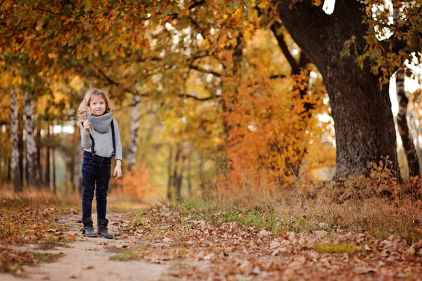 Söta barn flicka går i höstens soliga skog med klubba och blad — Stockfoto