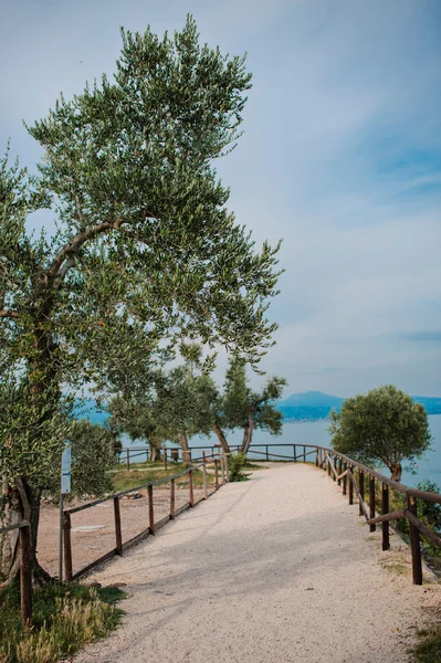 Cuevas del Catulo en Sirmione en el Lago de Garda, Italia — Foto de Stock