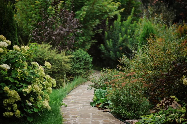 फूलदार हाइड्रेंजिया और पत्थर पथ के साथ सुंदर ग्रीष्मकालीन उद्यान दृश्य — स्टॉक फ़ोटो, इमेज