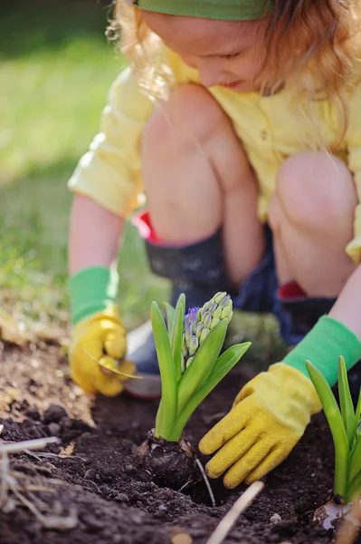 Девочка в жёлтых и зелёных резиновых перчатках сажает гиацинтовые лампочки в весеннем саду — стоковое фото