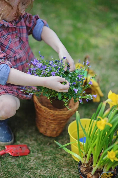 Kind meisje in geruite jurk en rubber laarzen planten bloemen in lentetuin — Stockfoto