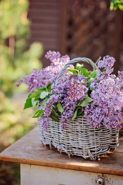 Cesta com buquê de lilases no jardim de primavera ensolarado — Fotografia de Stock