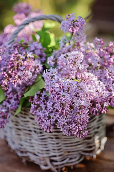 Cesto con mazzo di lilla in giardino soleggiato primaverile — Foto Stock