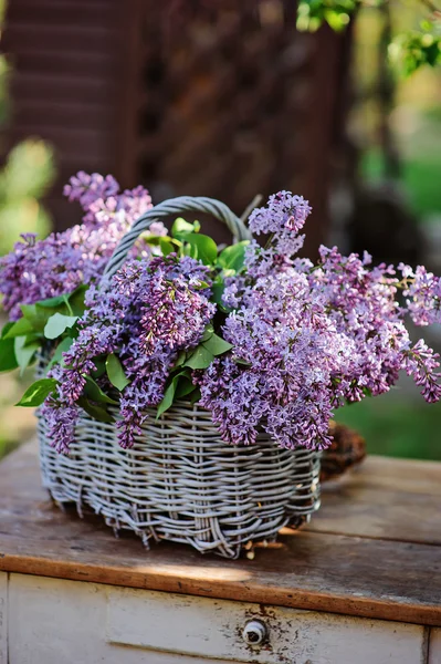 Cesta com buquê de lilases no jardim de primavera ensolarado — Fotografia de Stock