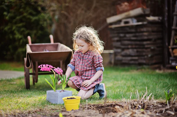 子供の女の子を果たしているほとんどの庭師およびばねの庭の植栽ヒヤシンスの花 — ストック写真