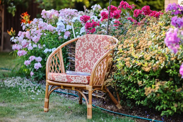 Renkli phlox çiçekli yaz bahçesinde sandalye — Stok fotoğraf
