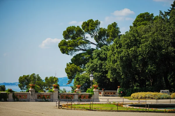 Prachtig natuurlandschap — Stockfoto