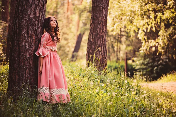 Niña en vestido de princesa cuento de hadas rosa —  Fotos de Stock