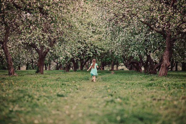 Брат и сестра держатся за руки и ходят по весеннему яблоневому саду — стоковое фото