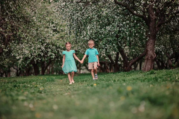 Brother and sister holding hands and walking in spring apple garden — Stock Photo, Image