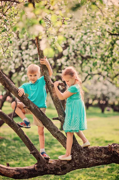 Szczęśliwy, brat i siostra w kwitnący ogród — Zdjęcie stockowe