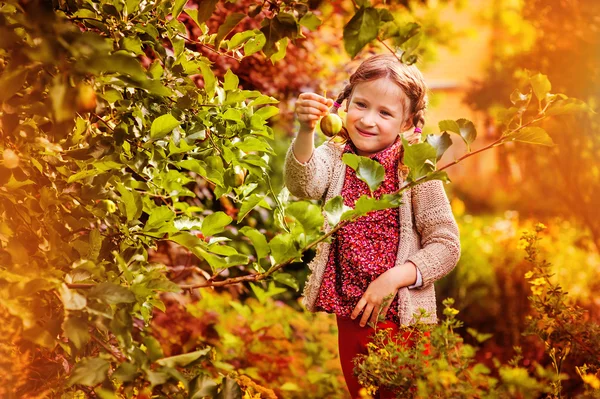 Bonito menina feliz recolhendo maçãs da árvore no jardim de outono ensolarado — Fotografia de Stock