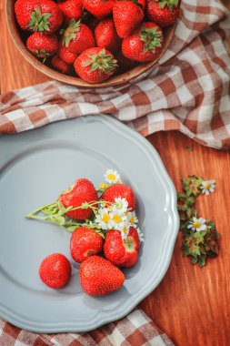 taze ev büyüme çilek