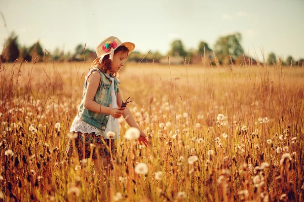 Happy child on summer field, spending vacation outdoor, warm rural scene — Stok fotoğraf