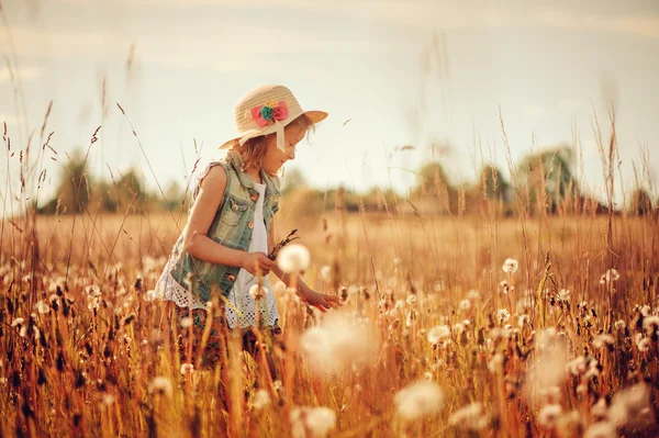 Criança feliz no campo de verão, passar férias ao ar livre, cena rural quente — Fotografia de Stock