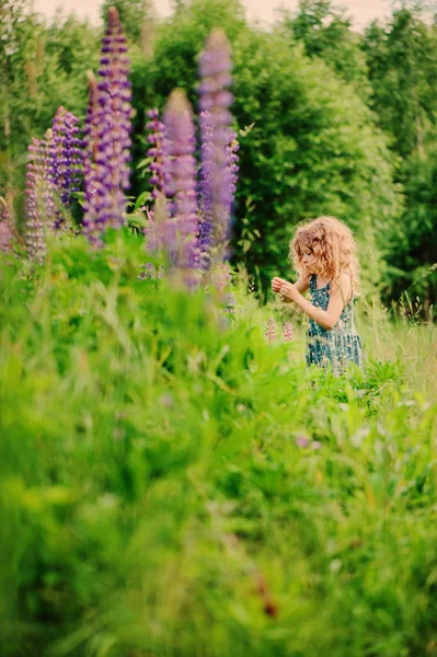 Девочка изучает природу с лупой, учится на летнем отдыхе в лесу — стоковое фото