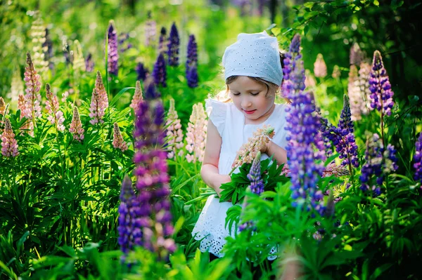 Child girl on lupin field, outdoor activities on vacation in warm day — Stok fotoğraf