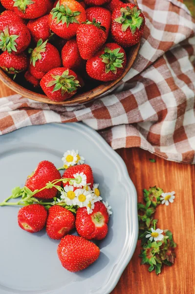 Fresh home growth strawberries — Stock Photo, Image