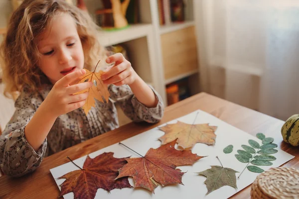 Menina feliz fazendo folhas de outono herbário em casa — Fotografia de Stock