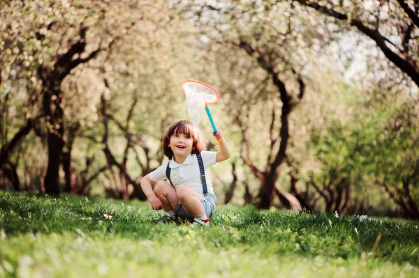 Cute happy toddler boy catching butterflies — Stock Photo, Image