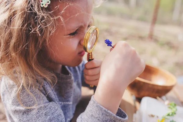 Dziecko dziewczynka odkrywania przyrody wczesną wiosną, patrząc na pierwsze kiełki z Lupka. Nauczanie dzieci miłość natura. — Zdjęcie stockowe