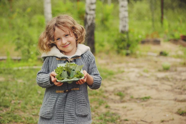 Attività estive all'aperto per bambini - caccia al tesoro, selezione delle foglie nella scatola delle uova, esplorazione della natura — Foto Stock